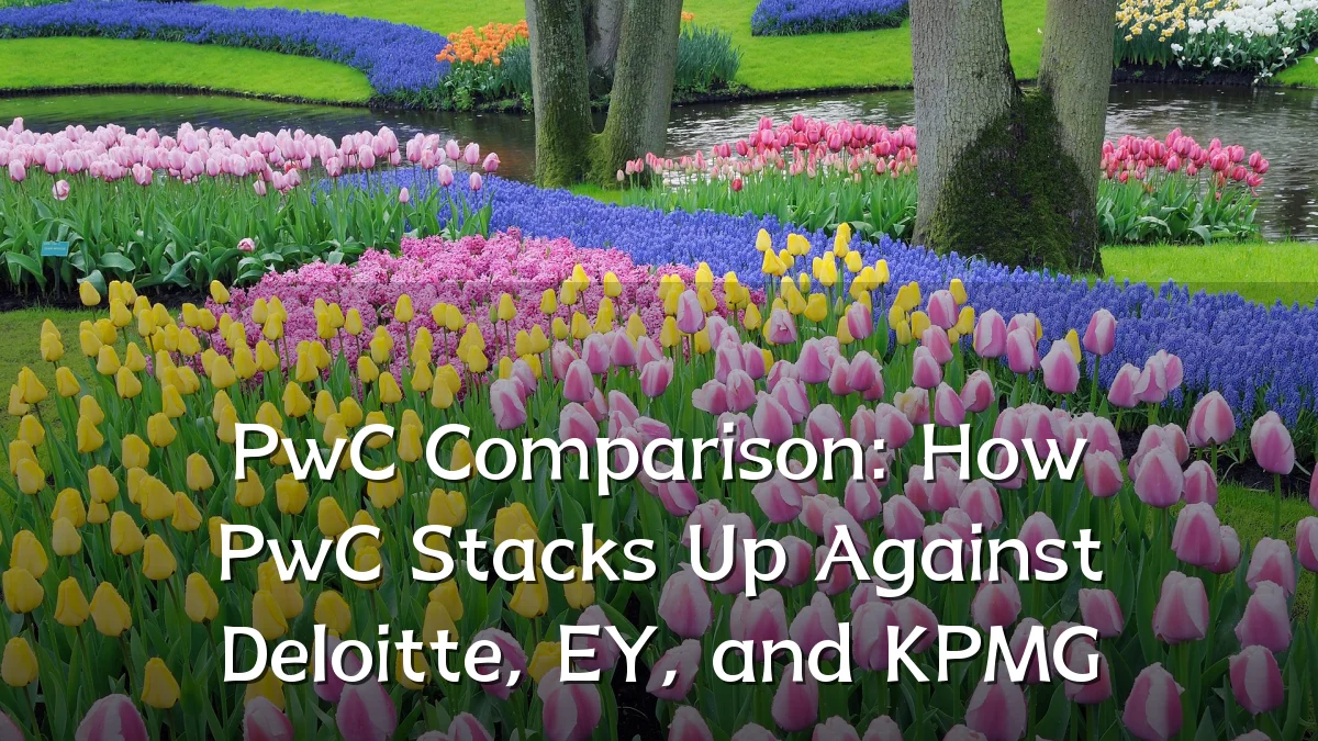 PwC Comparison: How PwC Stacks Up Against Deloitte, EY, and KPMG