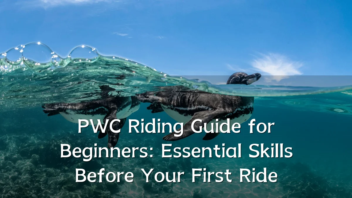 PWC Riding Guide for Beginners: Essential Skills Before Your First Ride