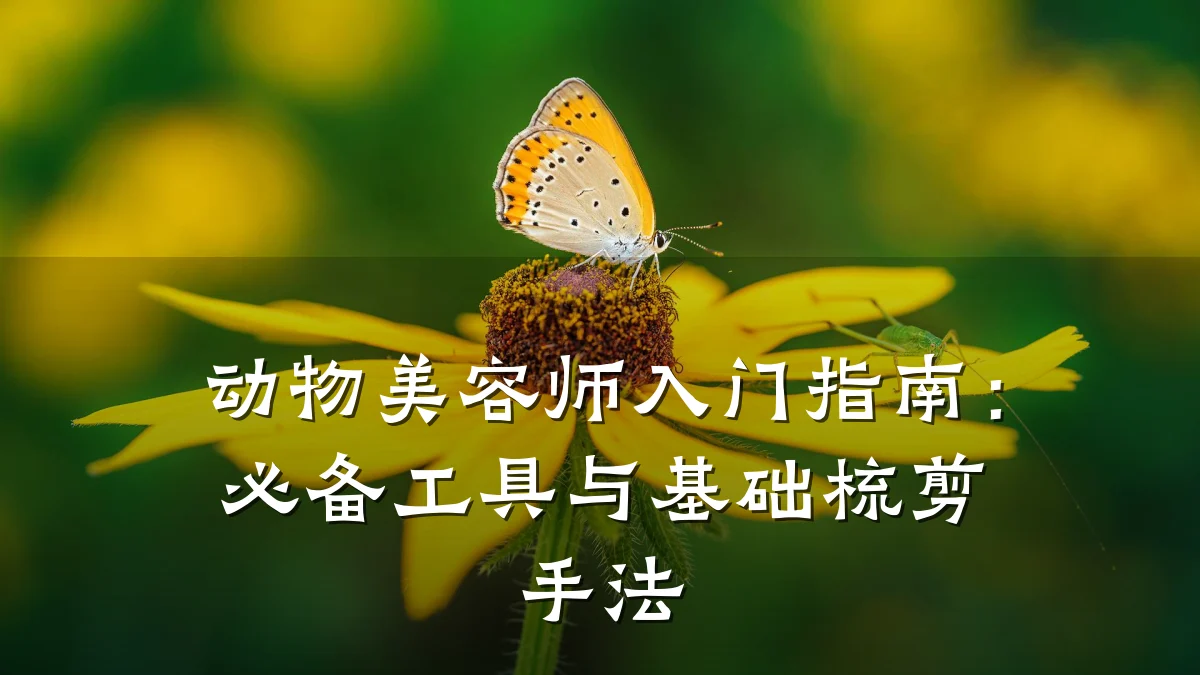 动物美容师入门指南:必备工具与基础梳剪手法