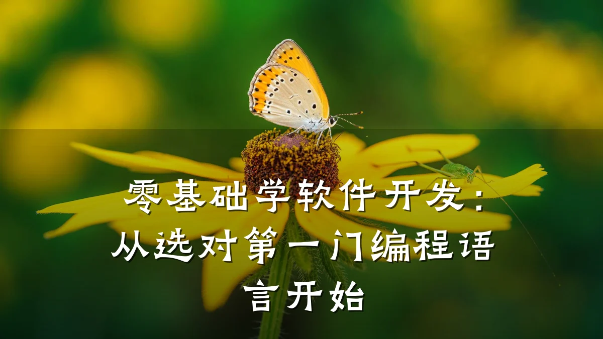 零基础学软件开发:从选对第一门编程语言开始