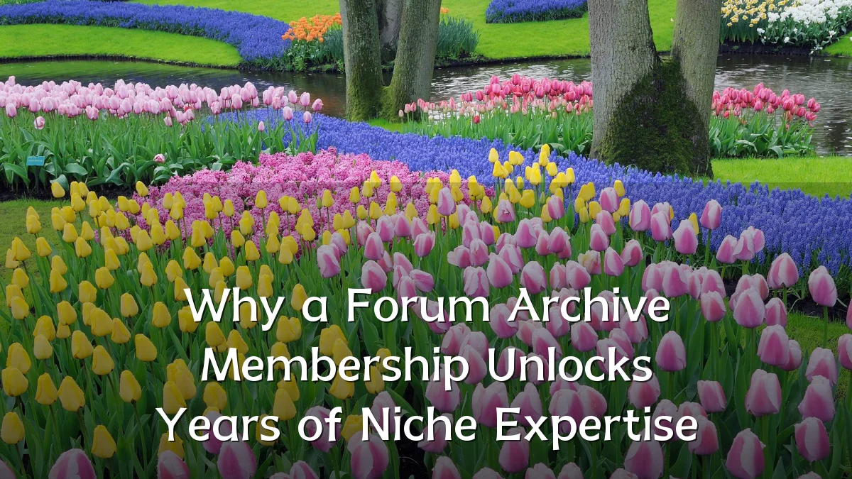 Why a Forum Archive Membership Unlocks Years of Niche Expertise