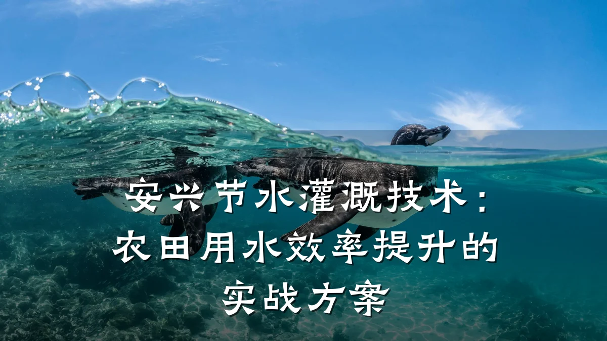 安兴节水灌溉技术:农田用水效率提升的实战方案