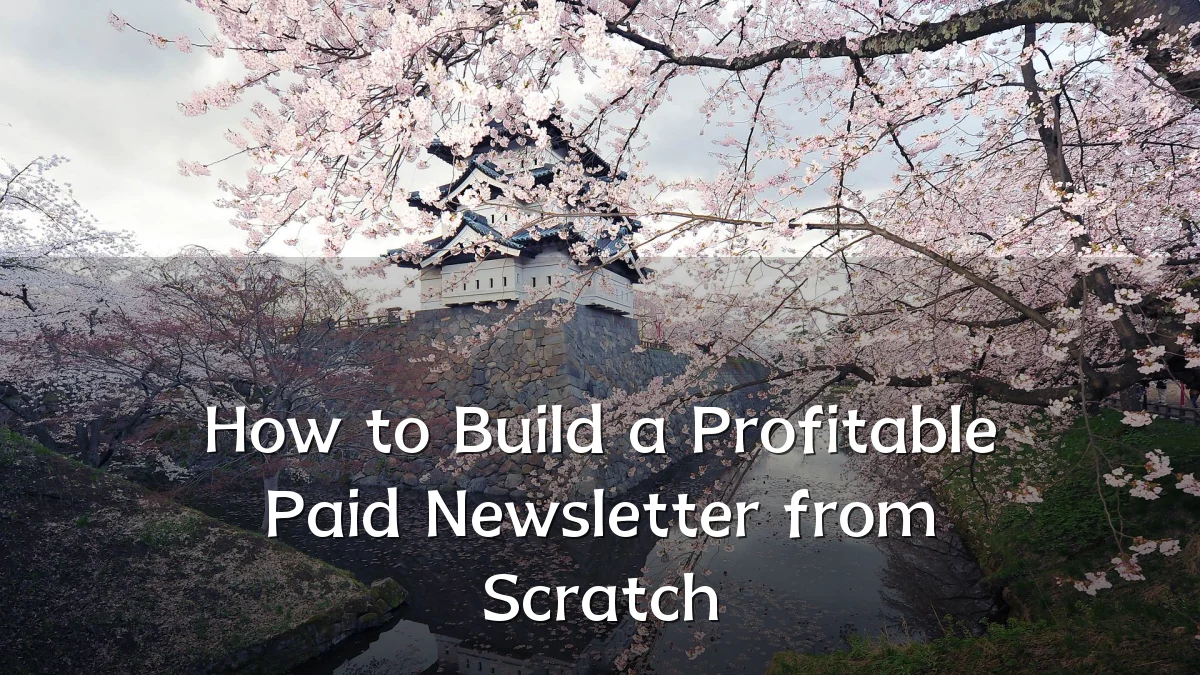 How to Build a Profitable Paid Newsletter from Scratch