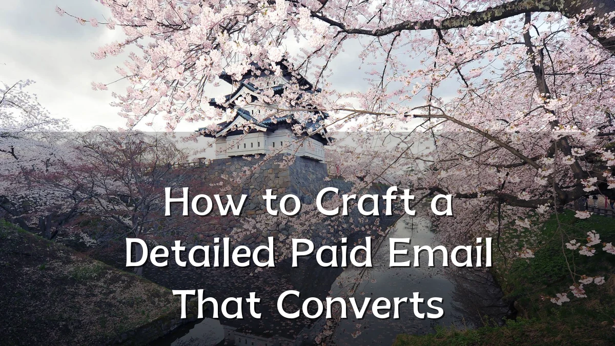 How to Craft a Detailed Paid Email That Converts
