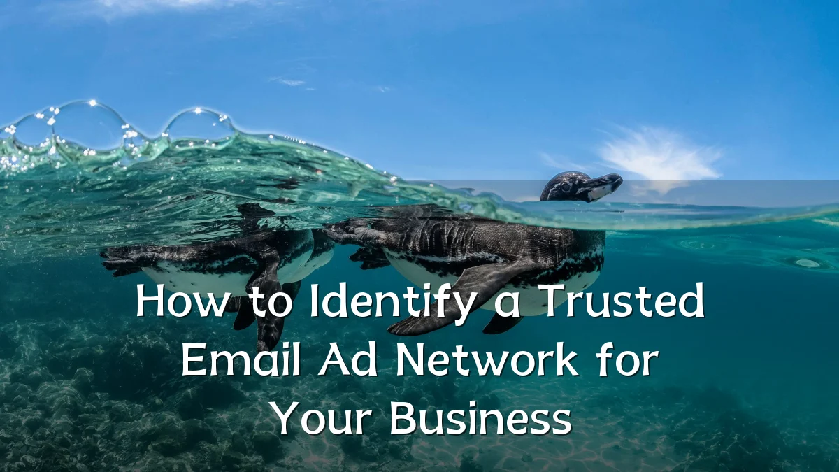 How to Identify a Trusted Email Ad Network for Your Business