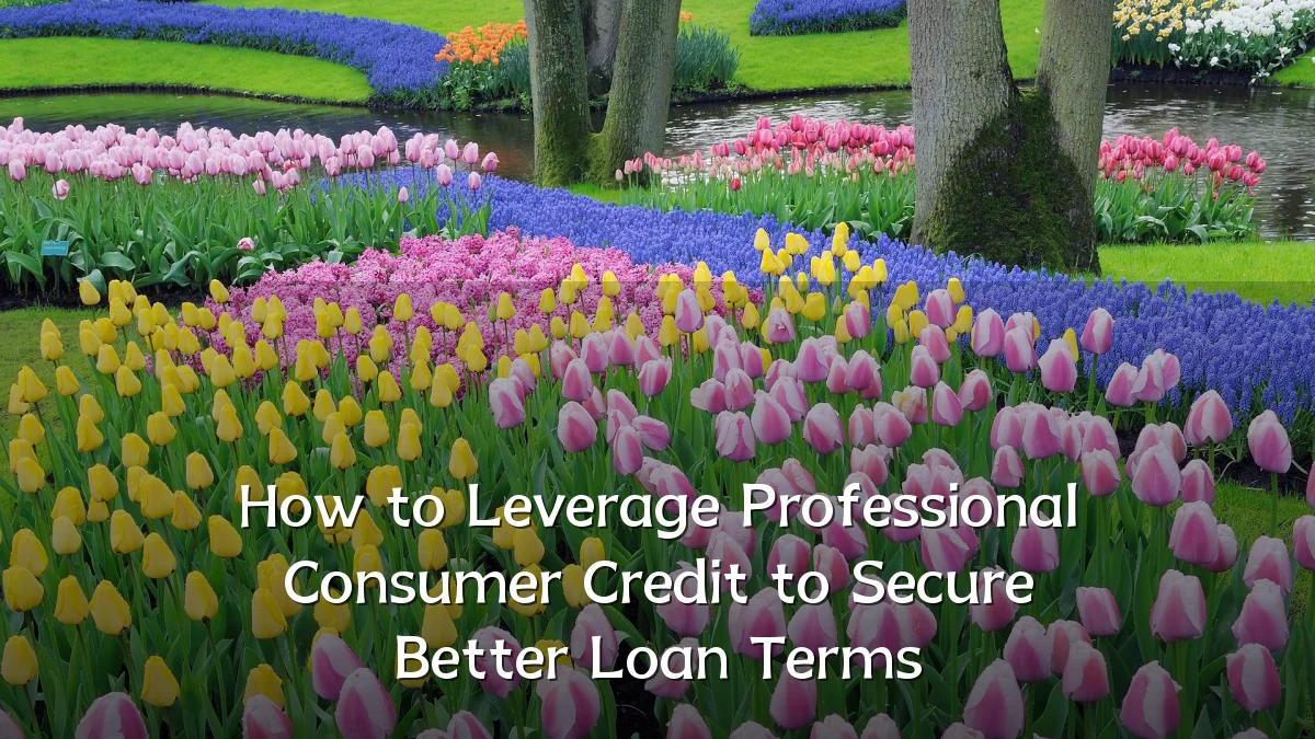 How to Leverage Professional Consumer Credit to Secure Better Loan Terms