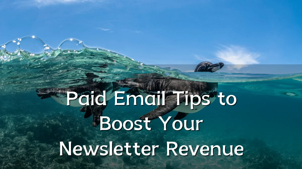 Paid Email Tips to Boost Your Newsletter Revenue