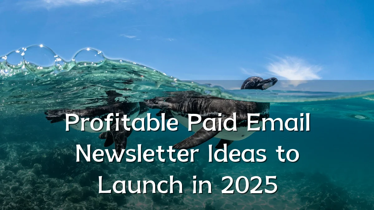 Profitable Paid Email Newsletter Ideas to Launch in 2025