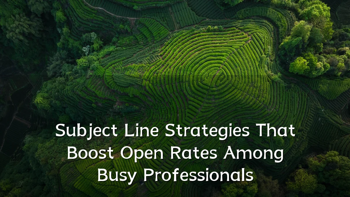 Subject Line Strategies That Boost Open Rates Among Busy Professionals