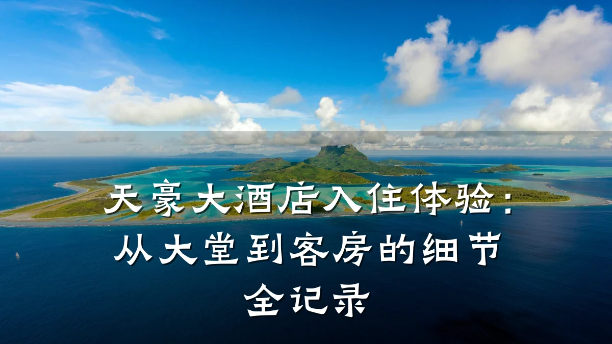 天豪大酒店入住体验：从大堂到客房的细节全记录