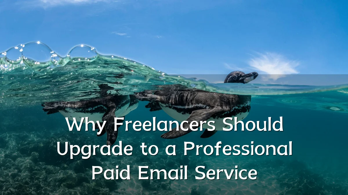 Why Freelancers Should Upgrade to a Professional Paid Email Service