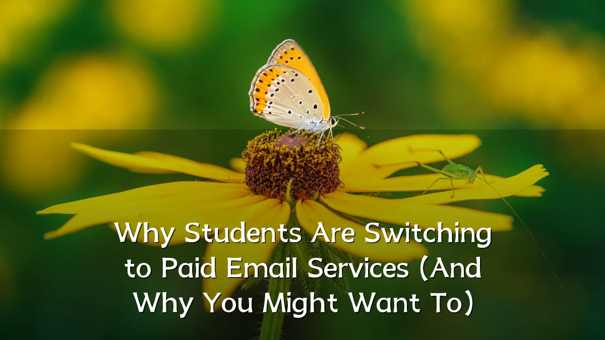Why Students Are Switching to Paid Email Services (And Why You Might Want To)