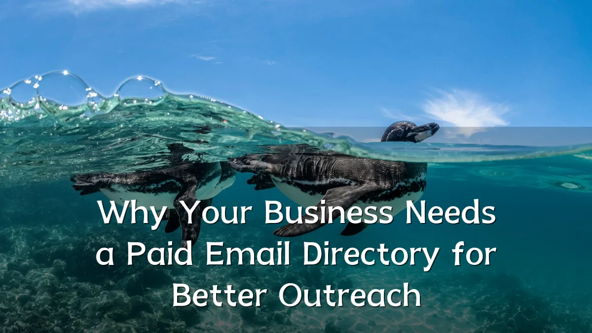 Why Your Business Needs a Paid Email Directory for Better Outreach