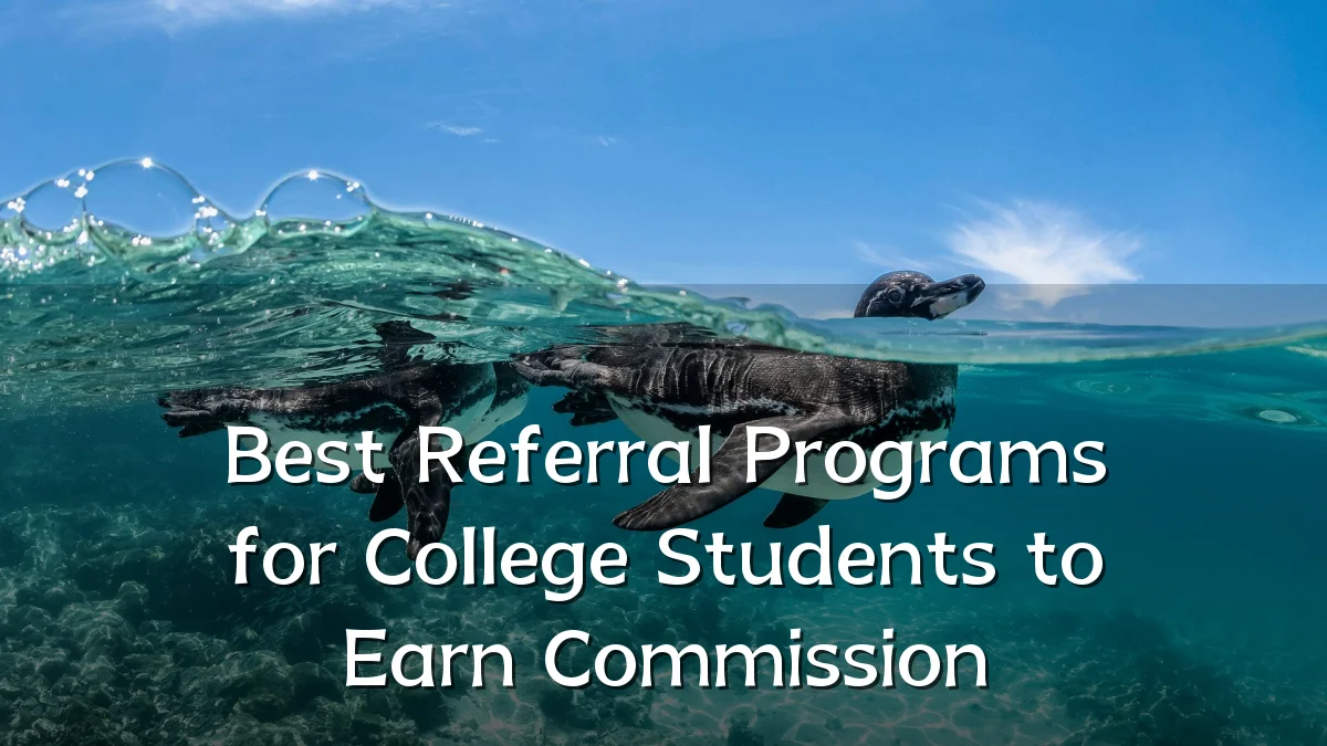 Best Referral Programs for College Students to Earn Commission