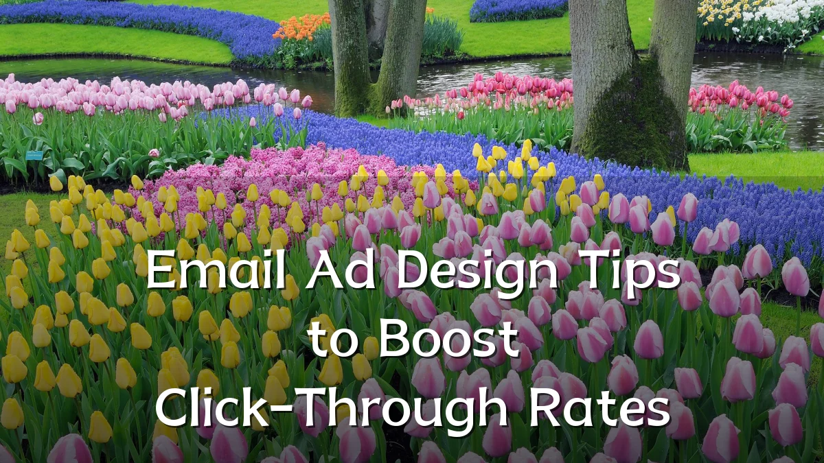 Email Ad Design Tips to Boost Click-Through Rates