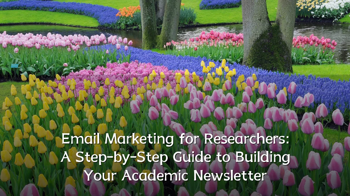 Email Marketing for Researchers: A Step-by-Step Guide to Building Your Academic Newsletter