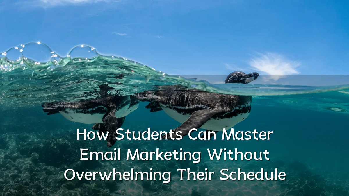 How Students Can Master Email Marketing Without Overwhelming Their Schedule