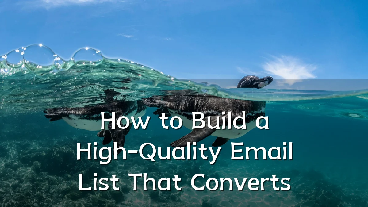 How to Build a High-Quality Email List That Converts