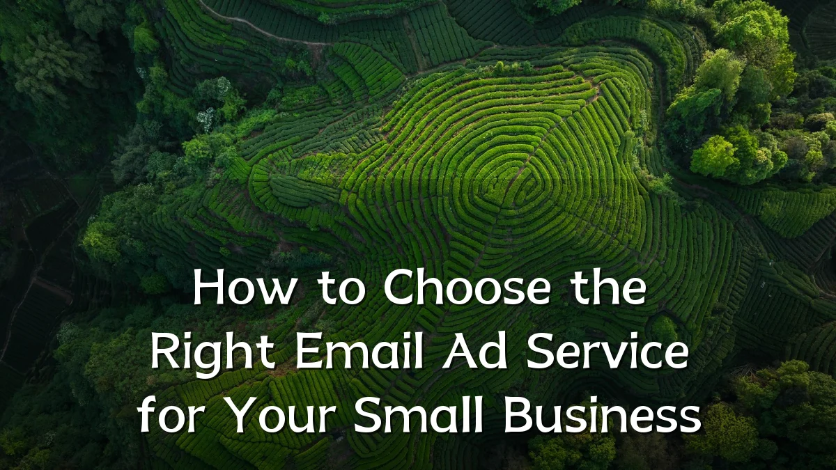 How to Choose the Right Email Ad Service for Your Small Business