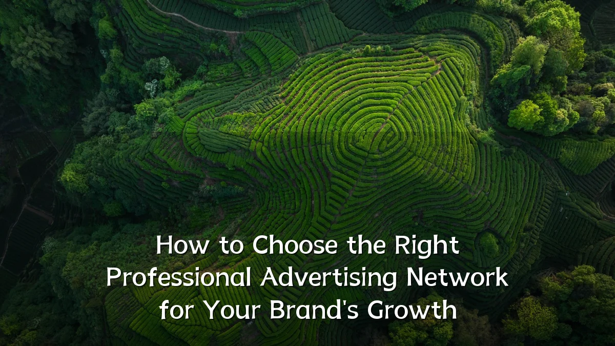 How to Choose the Right Professional Advertising Network for Your Brand's Growth
