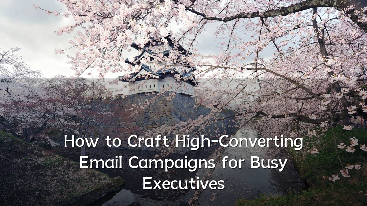 How to Craft High-Converting Email Campaigns for Busy Executives