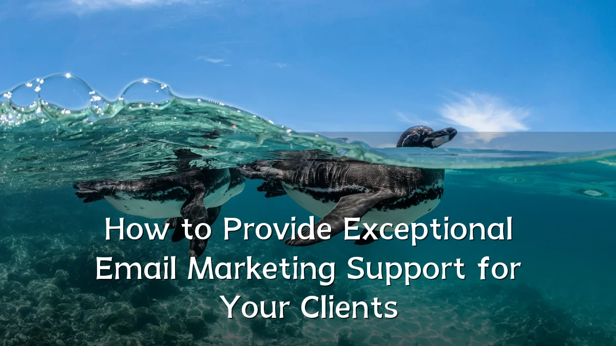 How to Provide Exceptional Email Marketing Support for Your Clients