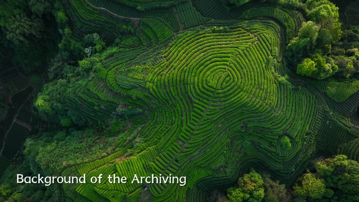 Background of the Archiving