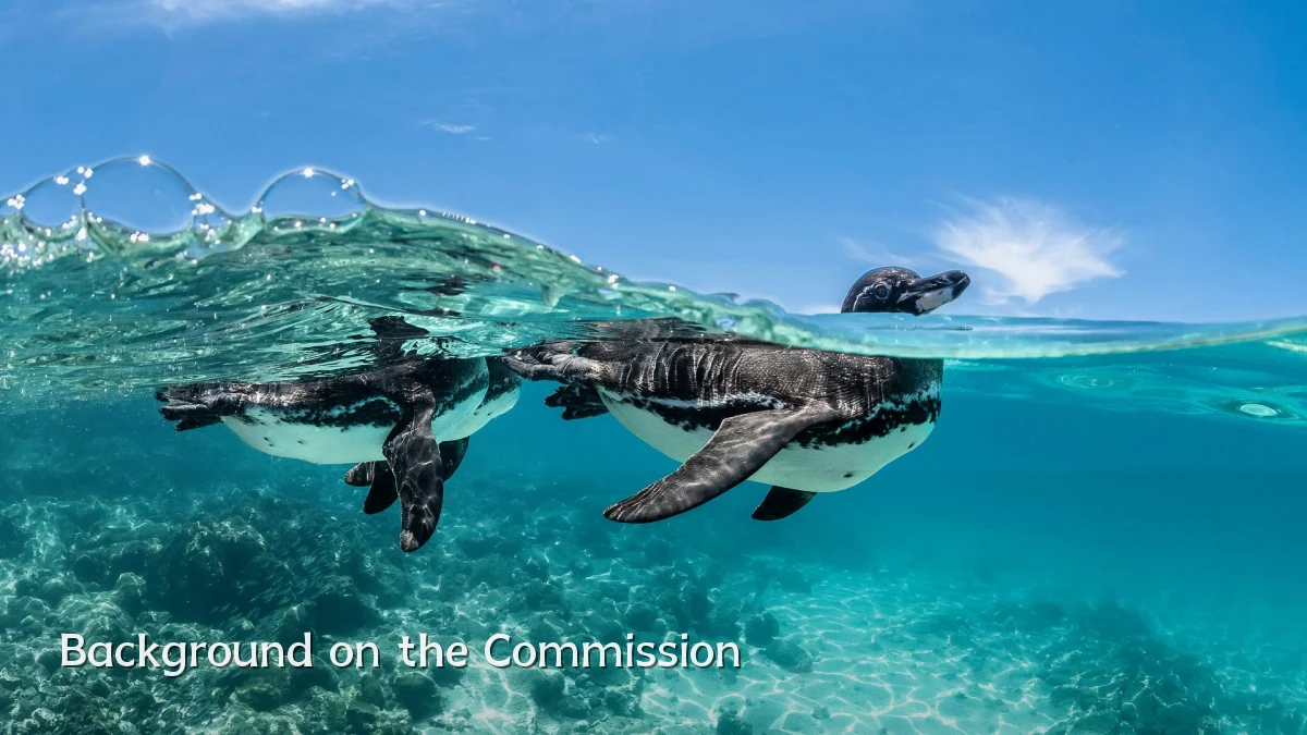 Background on the Commission
