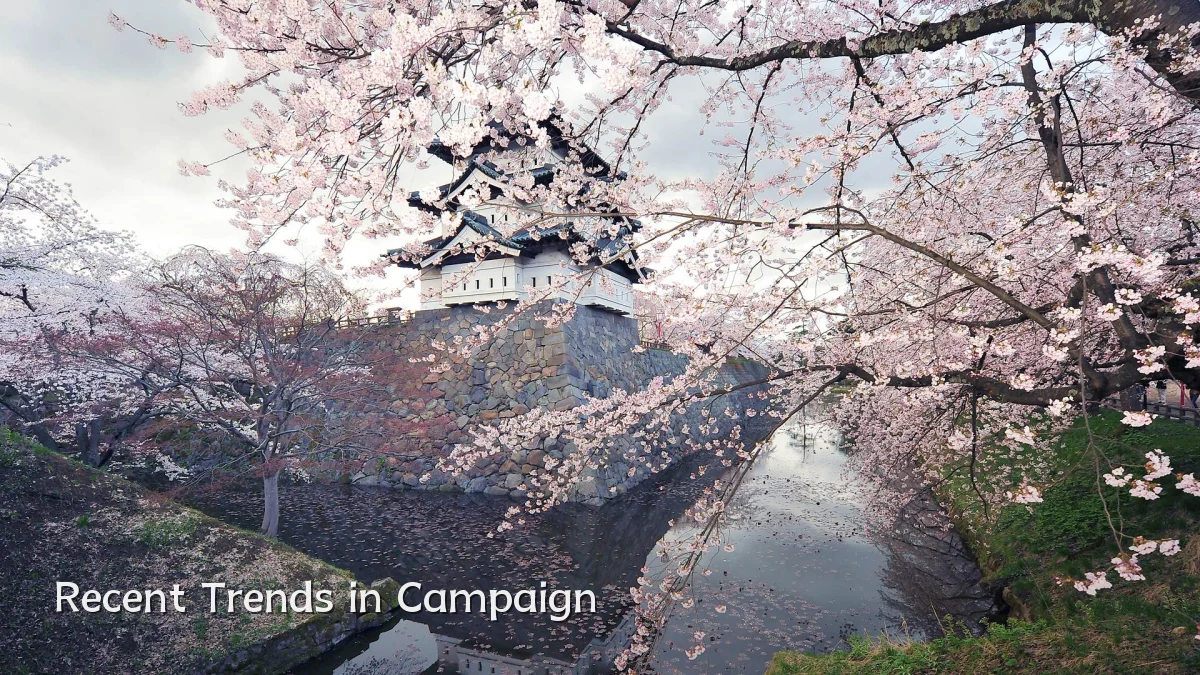Recent Trends in Campaign