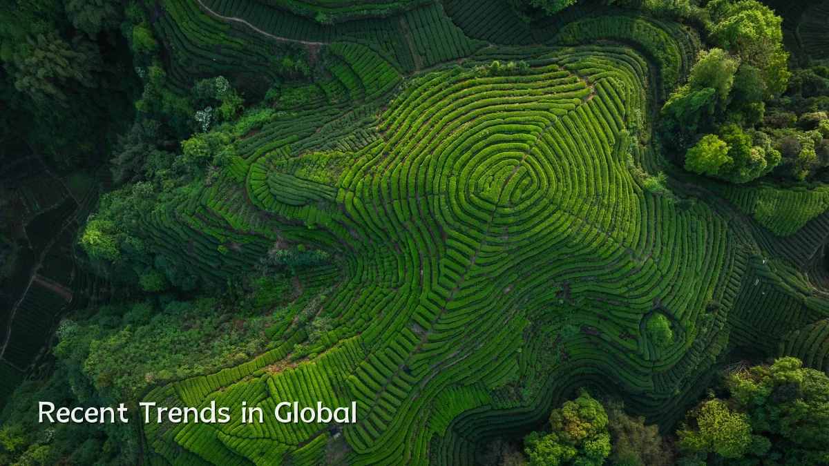Recent Trends in Global