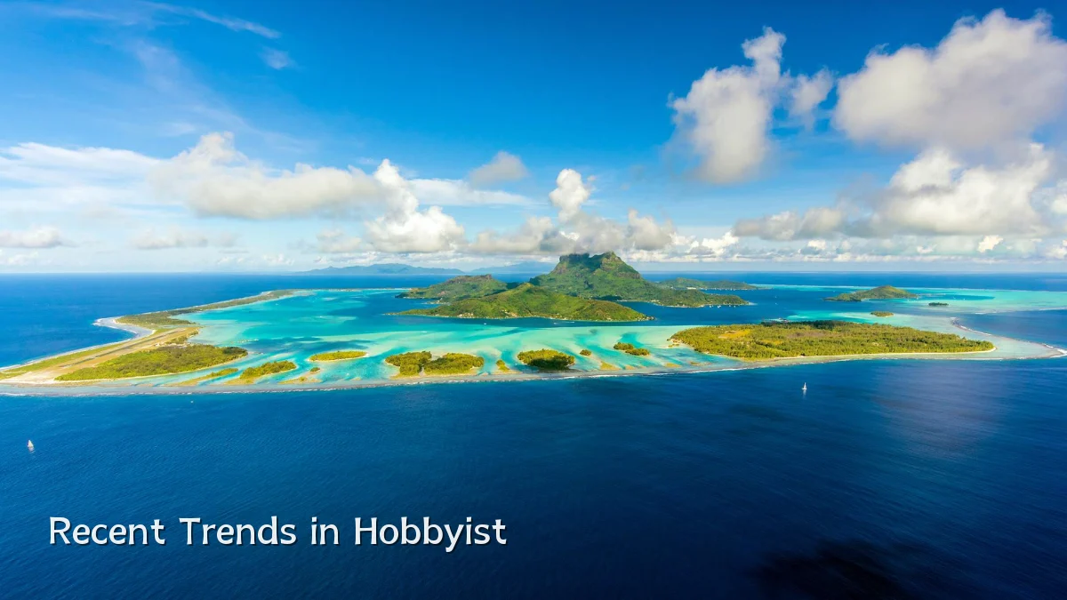 Recent Trends in Hobbyist