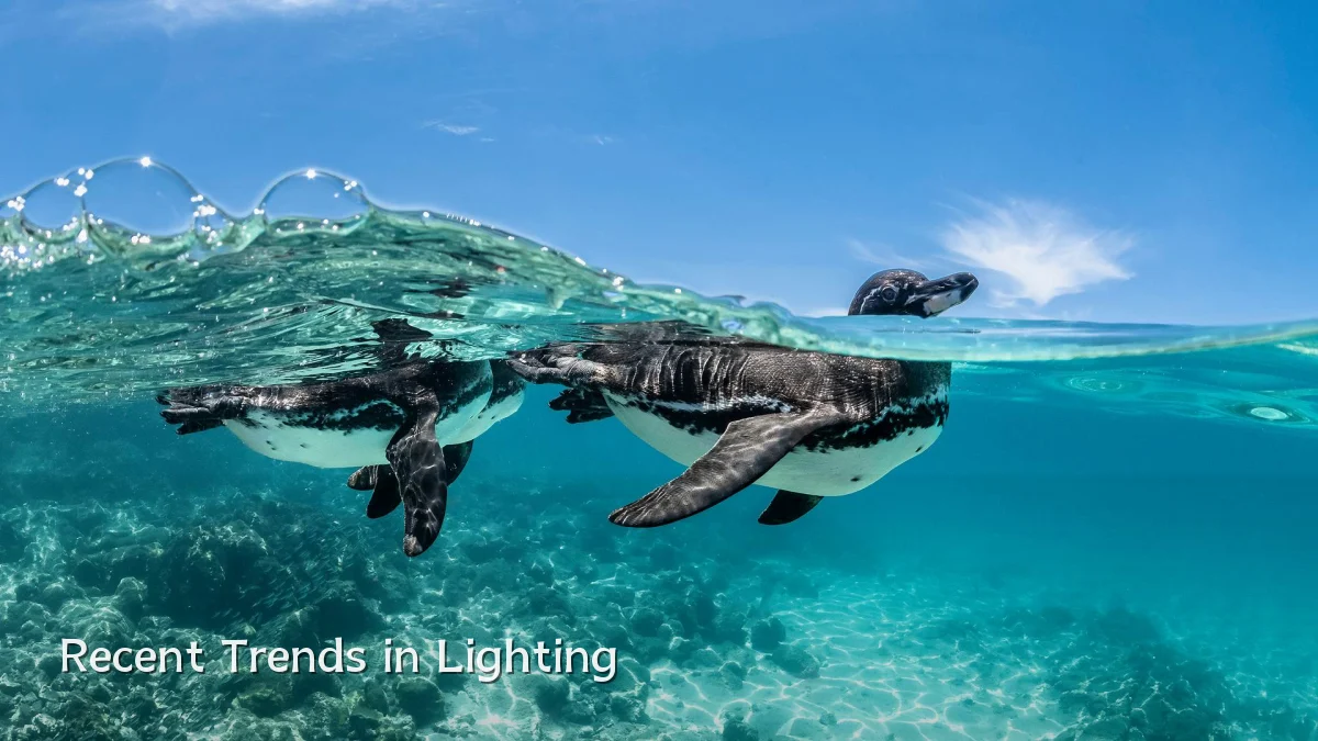 Recent Trends in Lighting