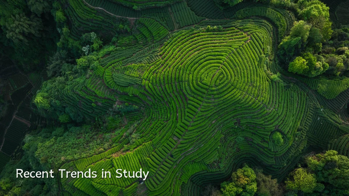 Recent Trends in Study