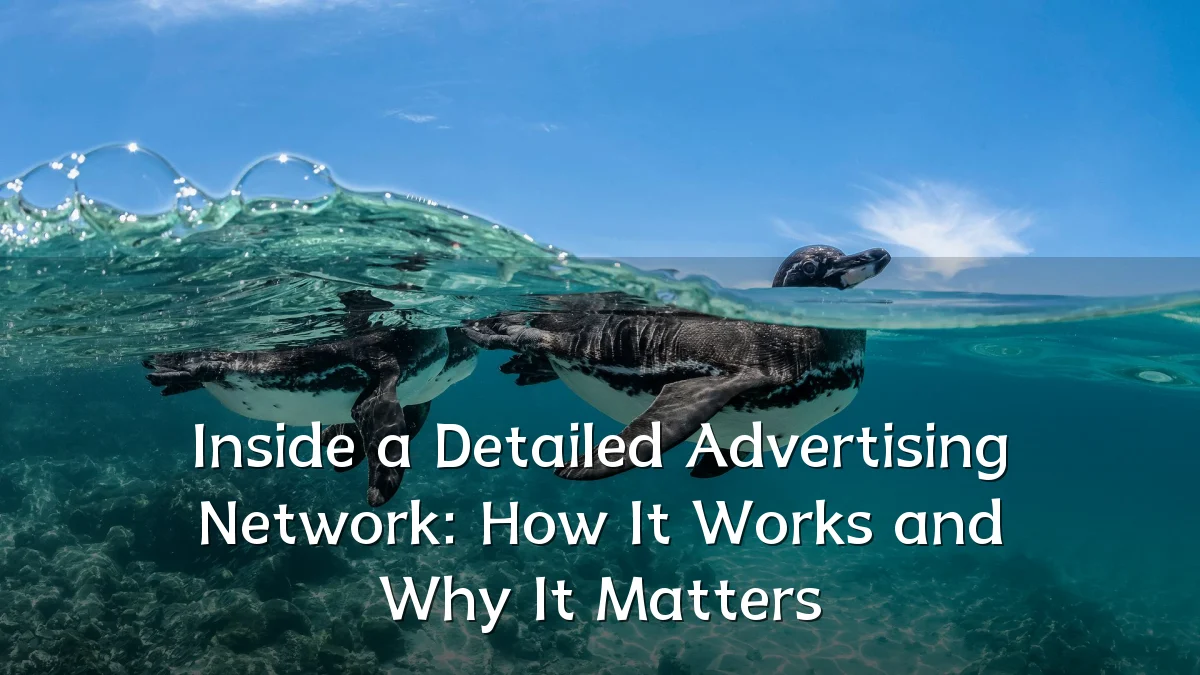 Inside a Detailed Advertising Network: How It Works and Why It Matters