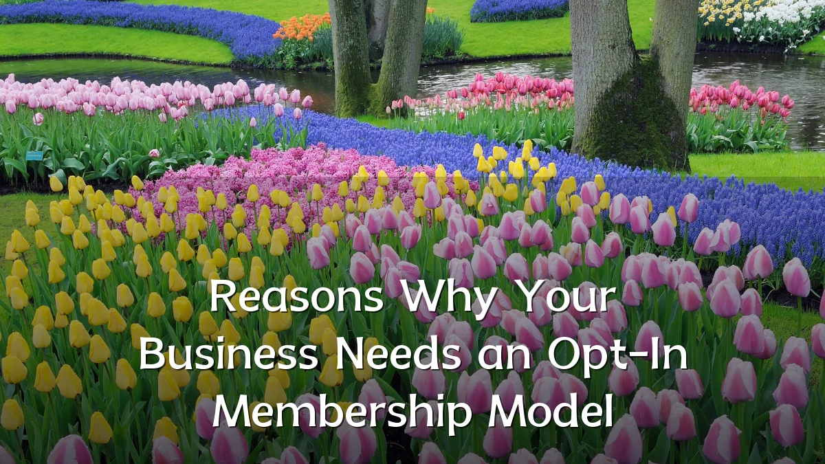 Reasons Why Your Business Needs an Opt-In Membership Model