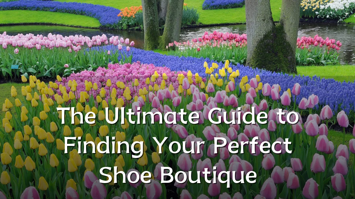 The Ultimate Guide to Finding Your Perfect Shoe Boutique