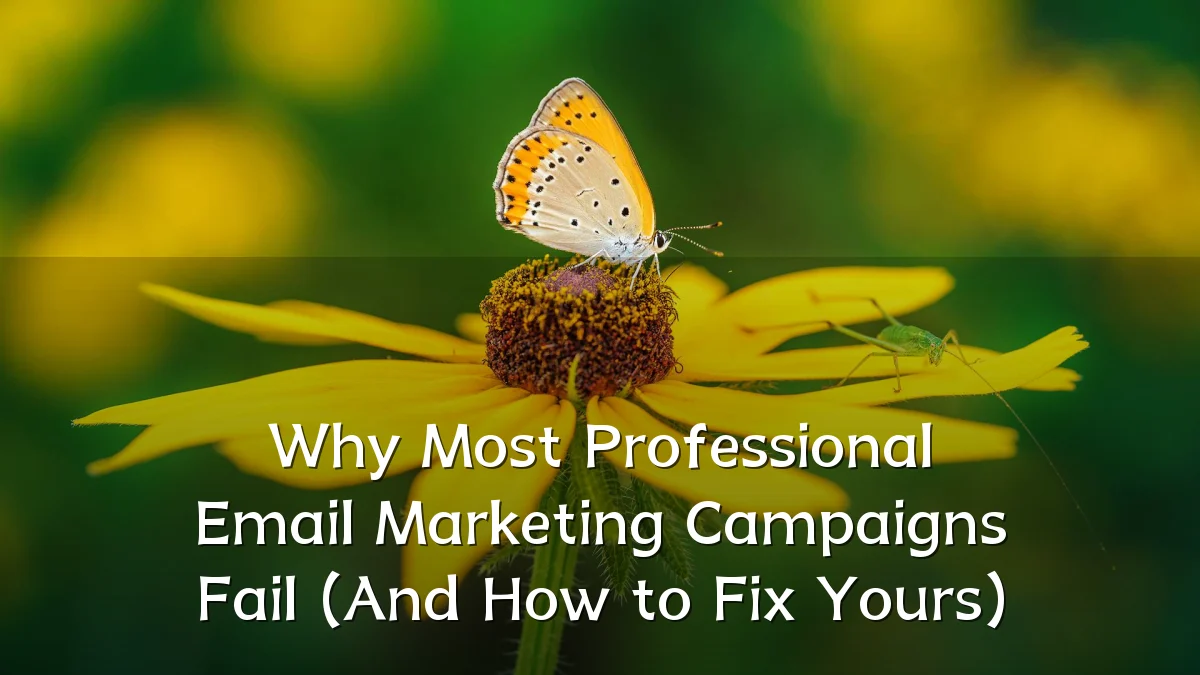 Why Most Professional Email Marketing Campaigns Fail (And How to Fix Yours)