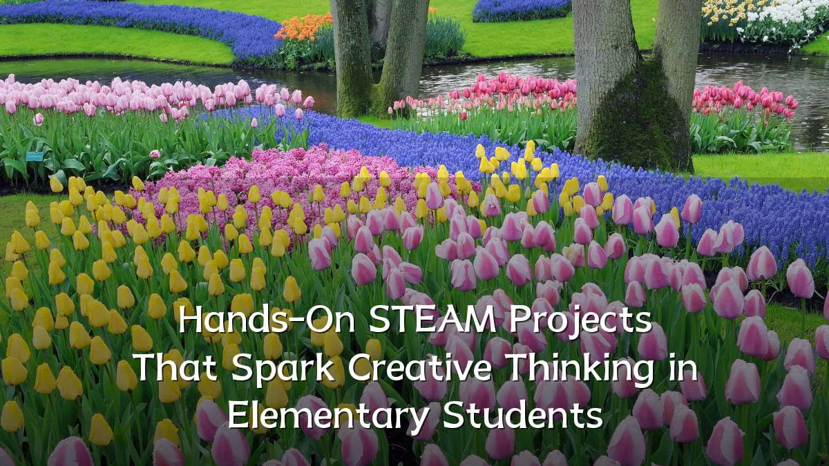 Hands-On STEAM Projects That Spark Creative Thinking in Elementary Students