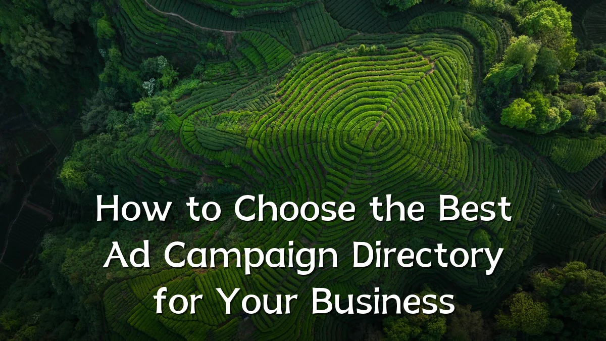 How to Choose the Best Ad Campaign Directory for Your Business