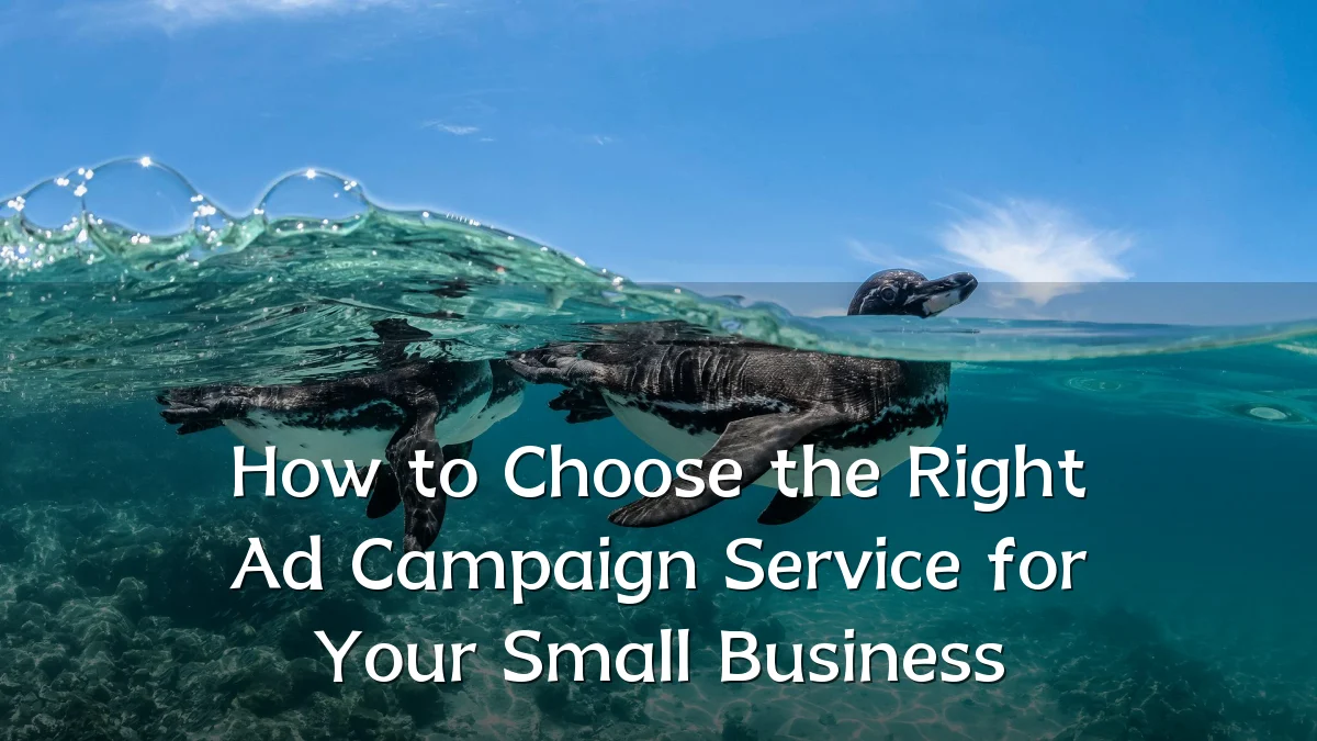 How to Choose the Right Ad Campaign Service for Your Small Business