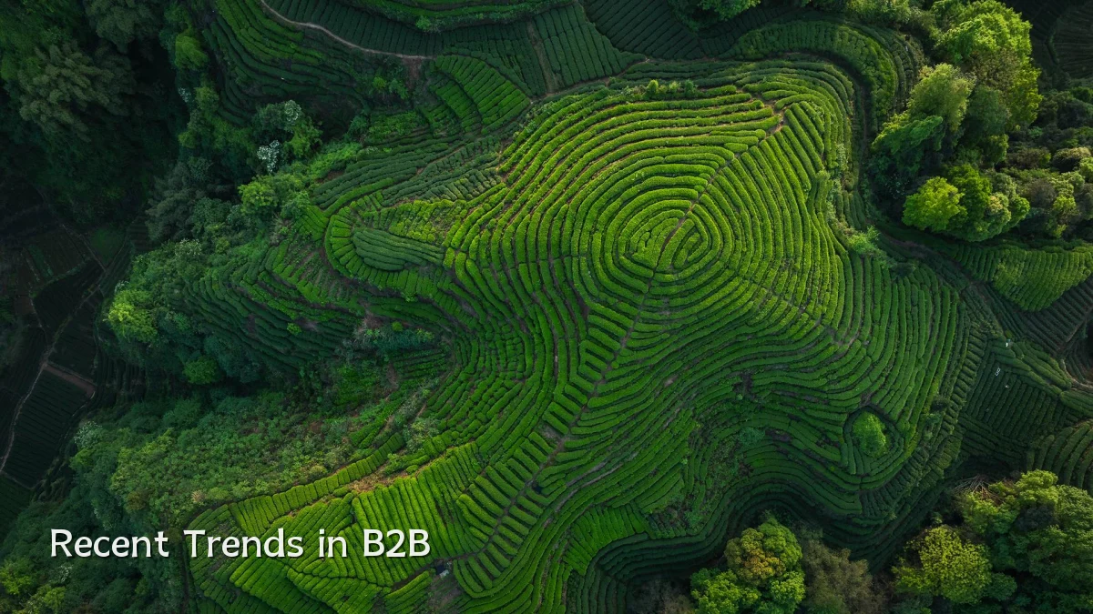 Recent Trends in B2B