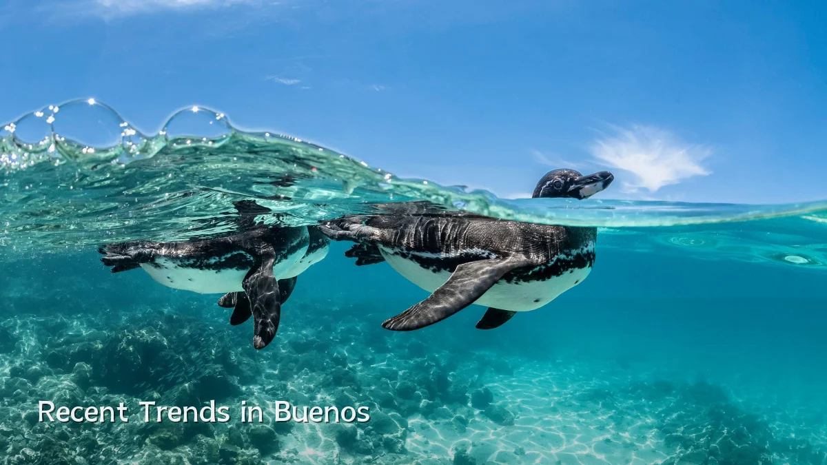 Recent Trends in Buenos