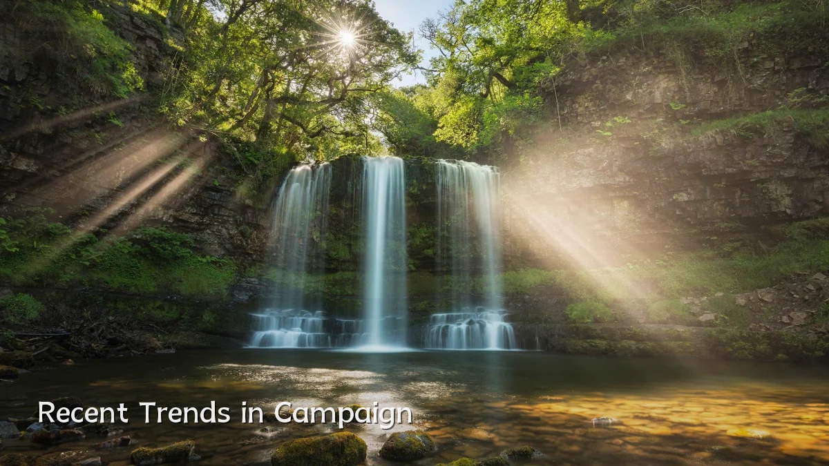 Recent Trends in Campaign