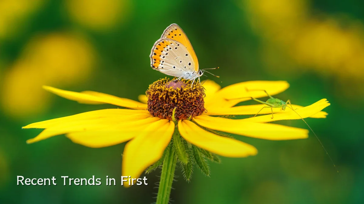 Recent Trends in First