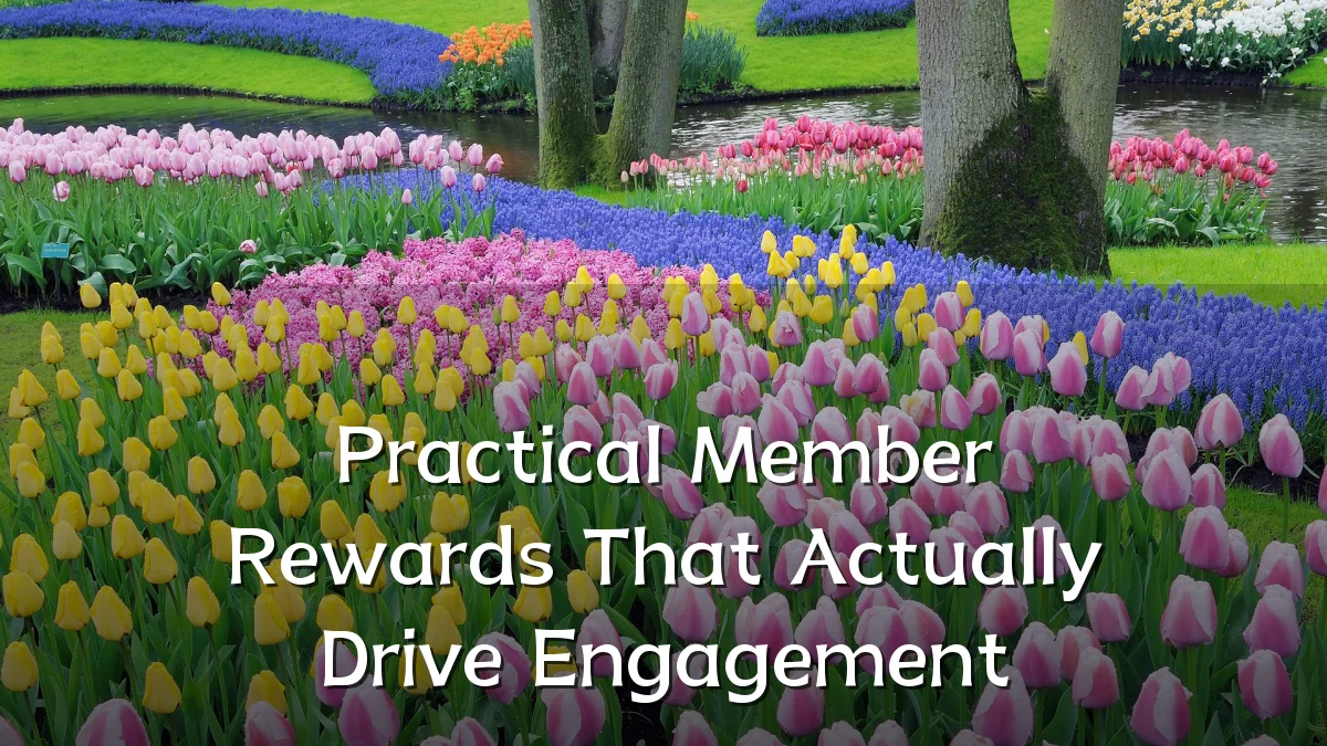 Practical Member Rewards That Actually Drive Engagement