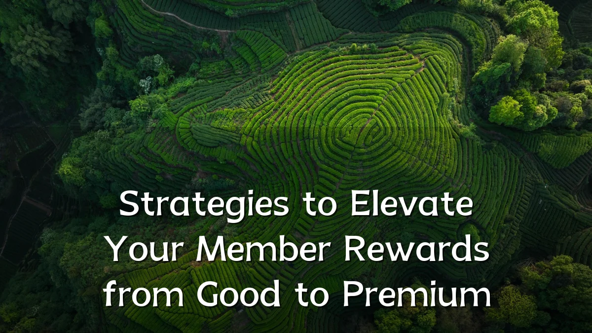 Strategies to Elevate Your Member Rewards from Good to Premium