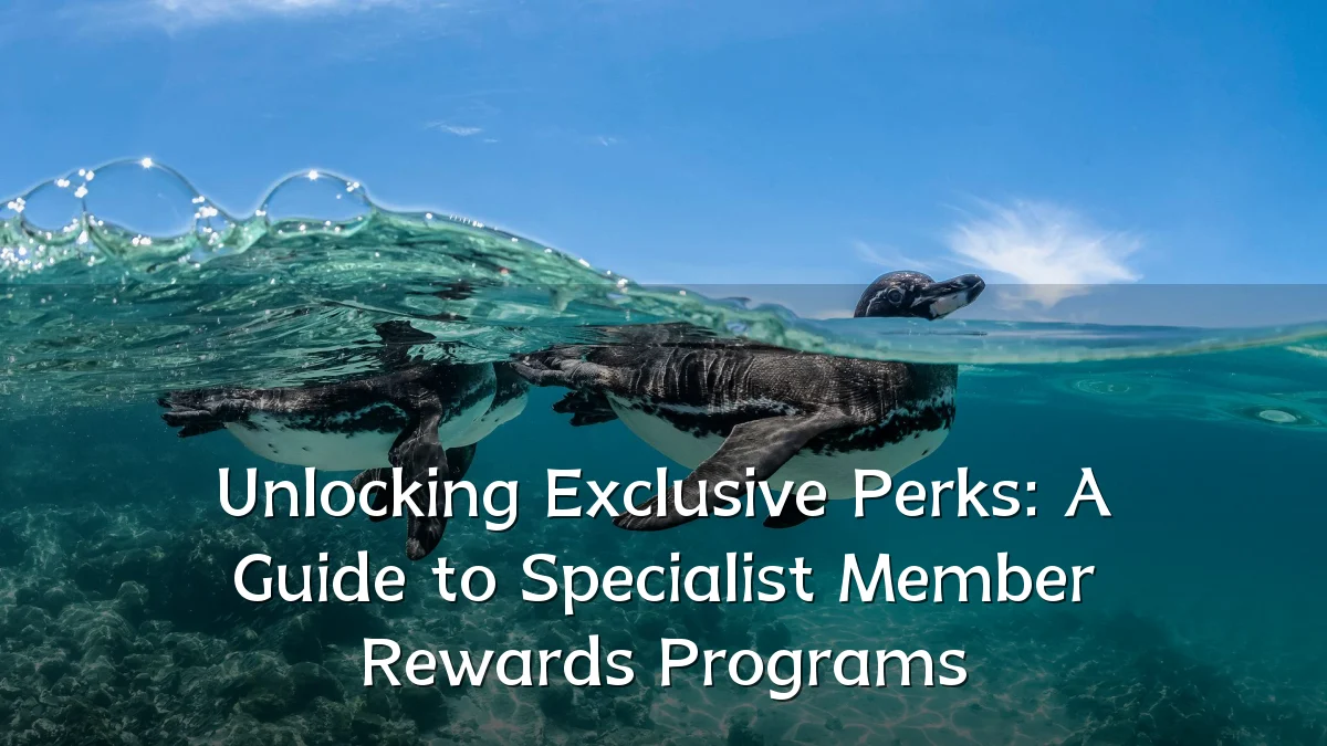 Unlocking Exclusive Perks: A Guide to Specialist Member Rewards Programs