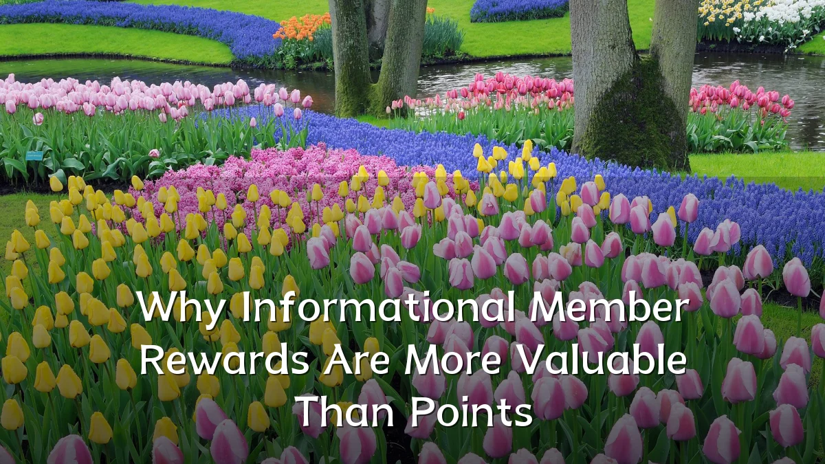 Why Informational Member Rewards Are More Valuable Than Points