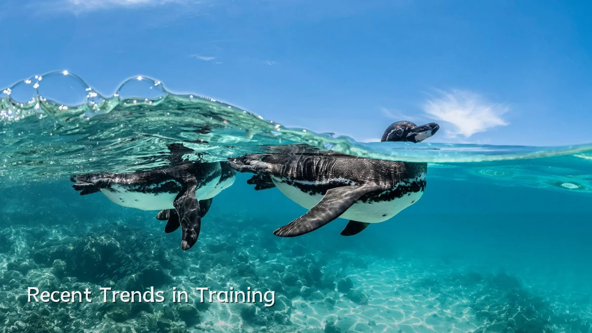 Recent Trends in Training