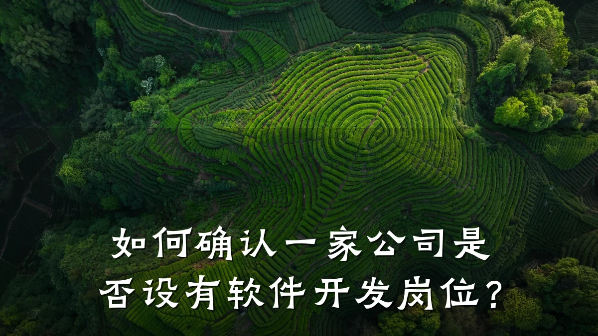 如何确认一家公司是否设有软件开发岗位?